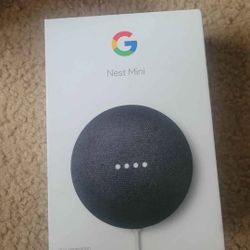 Google Nest Mini