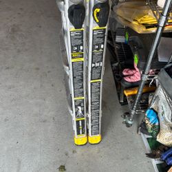 Gorilla 🦍 Ladder 🪜 