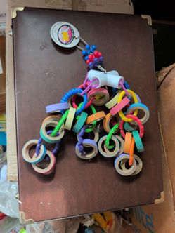 New bird toy