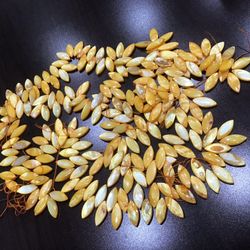 New marquise shaped mother of Pearl dyed yellow beads