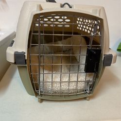 Small Dog Or Cat Kennel, Great Condition 