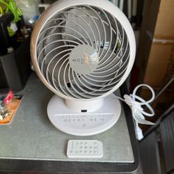 Woozoo Globe Multi-Directional 5-Speed Oscillating Fan w/ Remote Excellent Condition Like New