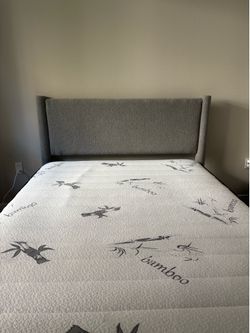 FREE Queen bed frame and mattress