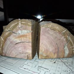 Vintage Petrified Wood Bookends Mid-Century Century Arizona Like Geode 
