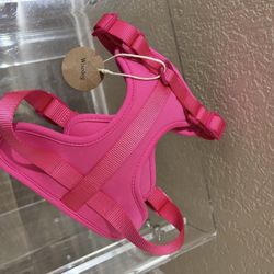 Allergies: Warmer winters mean plants bloom earlier and longer, extending "allergy season" and making pollen counts higher