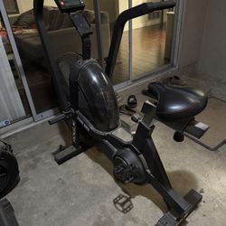 Rogue Echo Bike