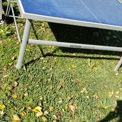 Ping Pong Table