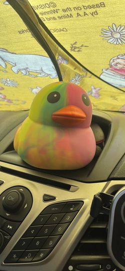 Squeeezy duck