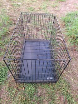 Dogs Cage