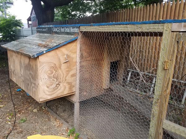 cheap chicken coop for 10 chickens