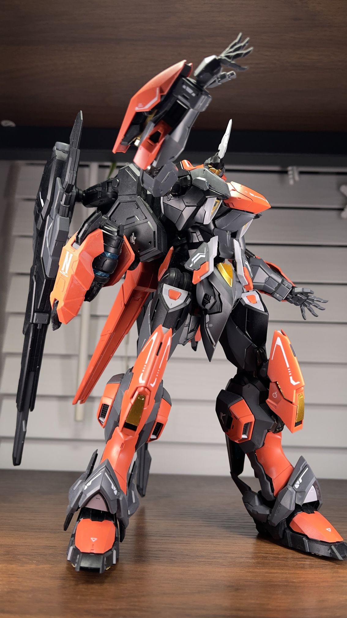 Gundam Model Kits MG 1/100