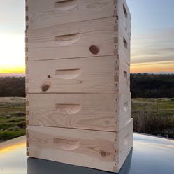 Bee Boxes Assembled Medium Super