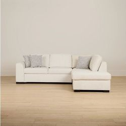 Used Sleeper Sectional Sofa