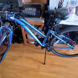 Schwinn Trailway Bike Unisex