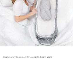 Baby Delight Snuggle Nest Portable Infant