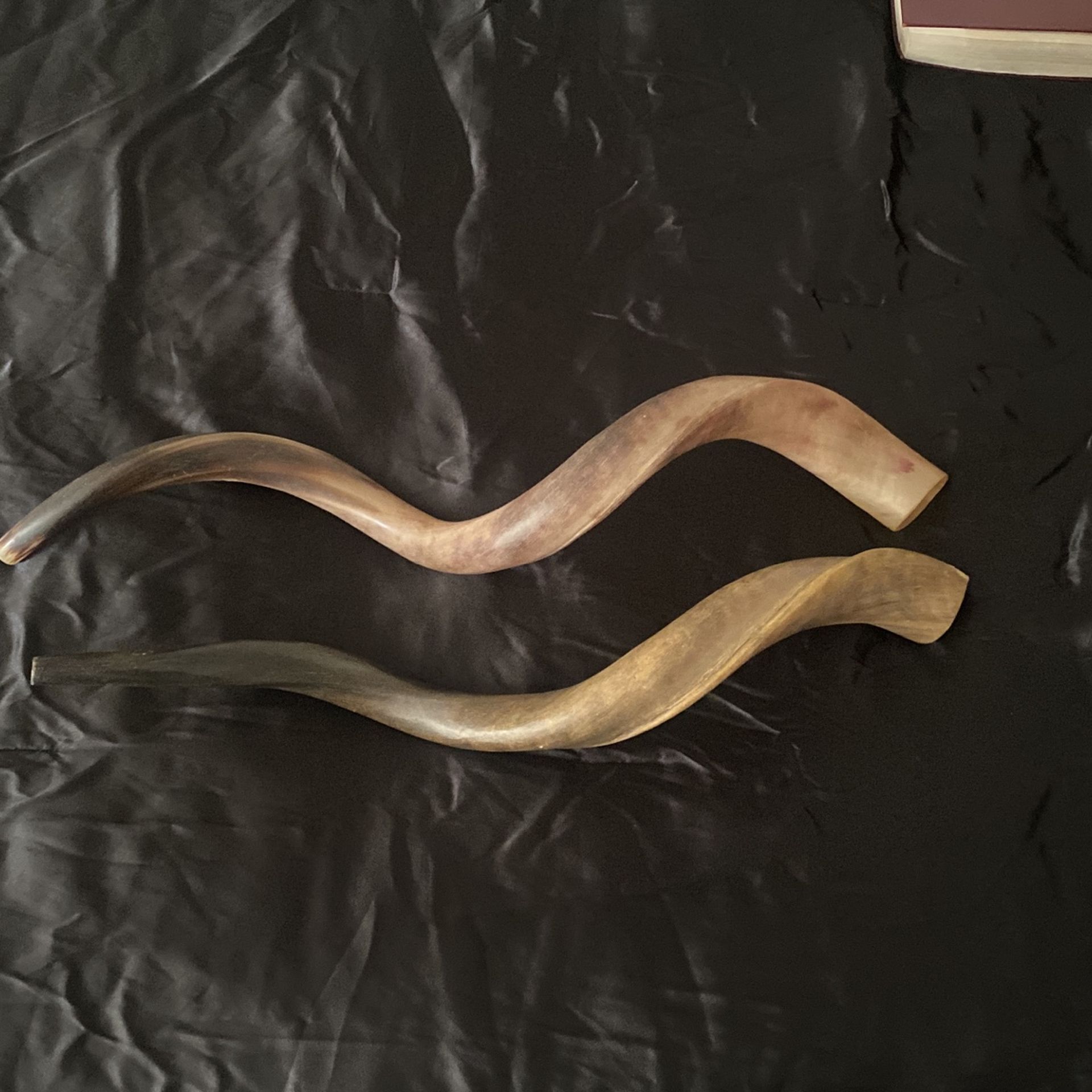 Two Shofars