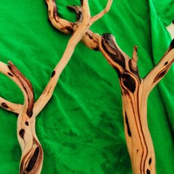 Treated Manzanita Ranches For Fish Tank Or Reptile Tank