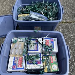 C9 Bulbs ; Stringers; Multi Plug Extension; Yard Stringer Holders; Tubs Included