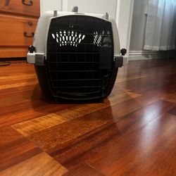 Kennel 