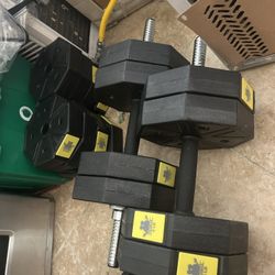 Gym Weights And Adjustable Bench