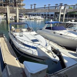 1989 30ft Sun Seeker Dual v8