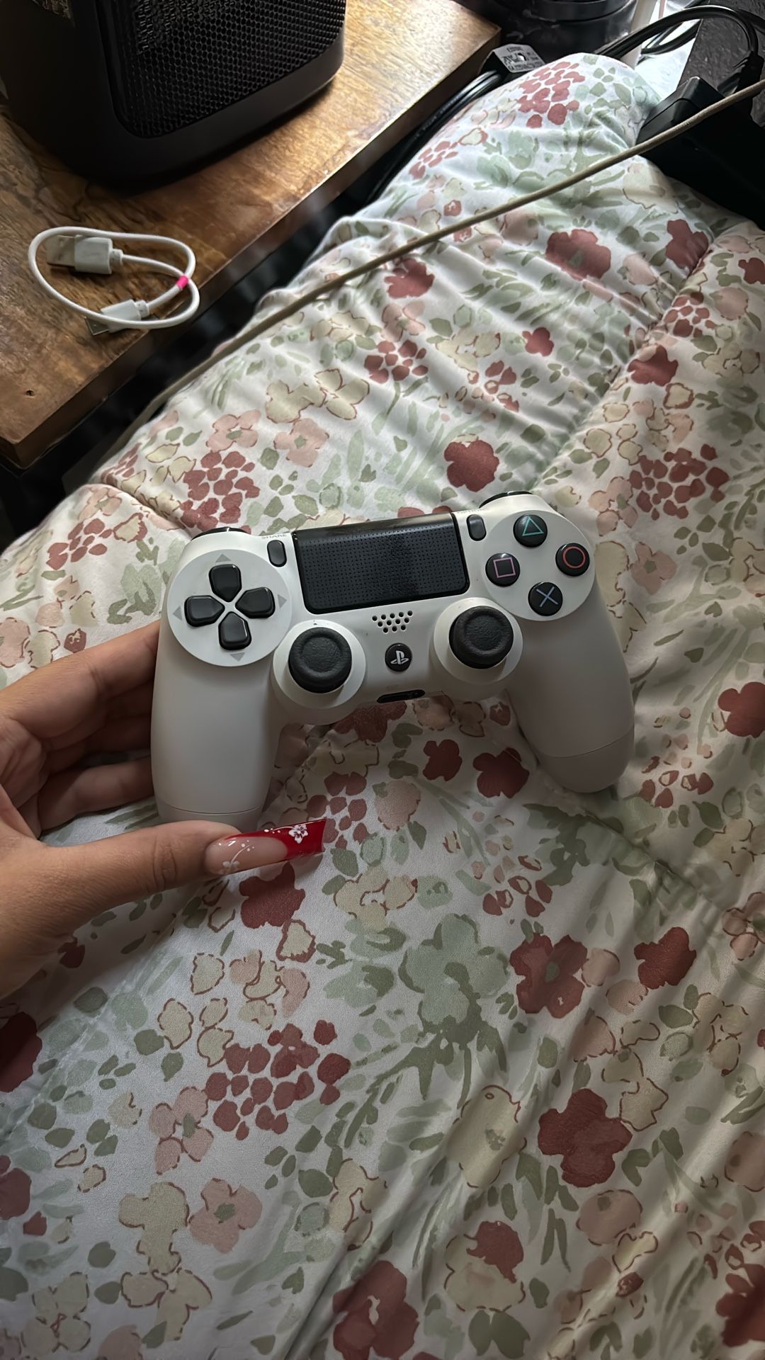 ps4 controller (no delivery)