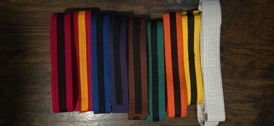 Martial Arts Color Belts