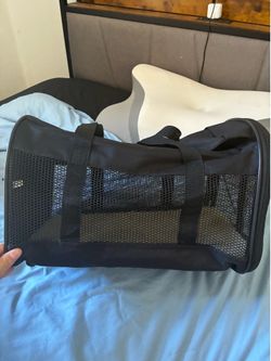 Soft-Sided Pet Carrier – Airline Style – Fits Cats & Small Dogs (Up to 15 lbs)