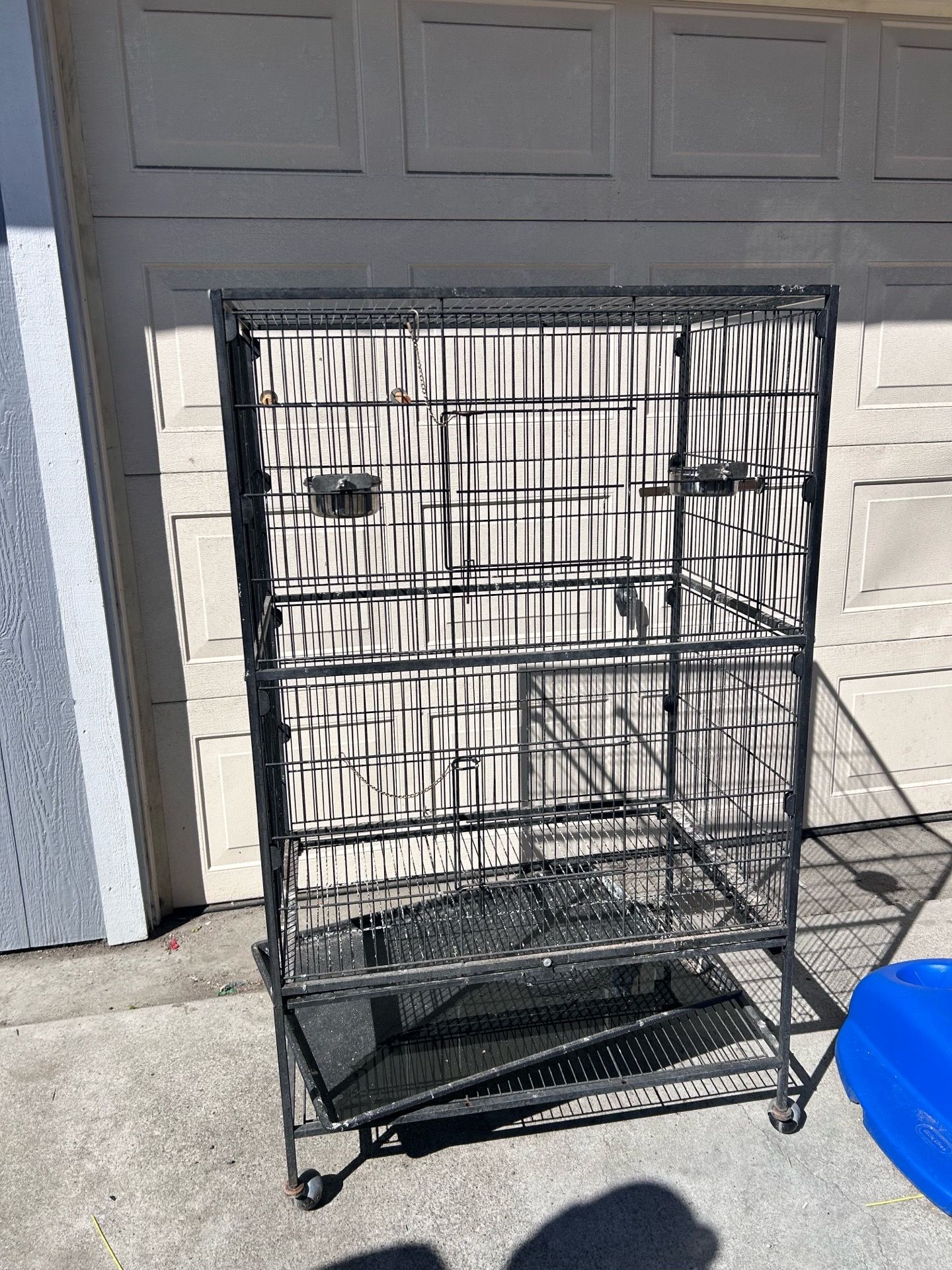 Bird Cage