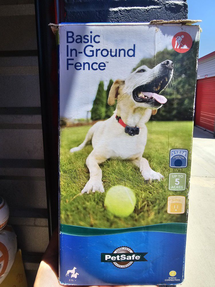 For Dogs 
