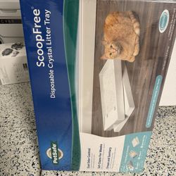 5x Scoop Free Disposable Litter box Trays 