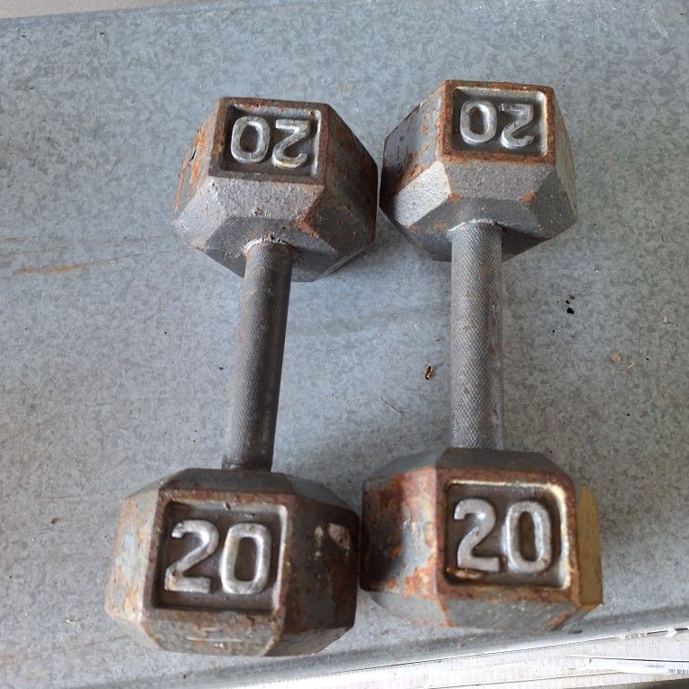 2-20 Lb Iron Hex Head Dumbbells