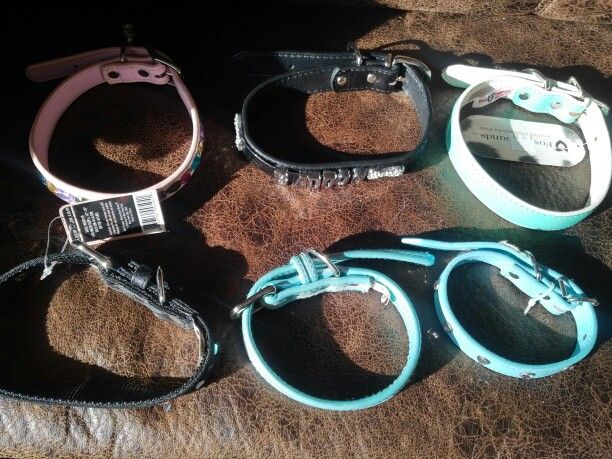 Dog collars