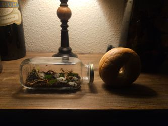 Small Glass Jar Terrarium
