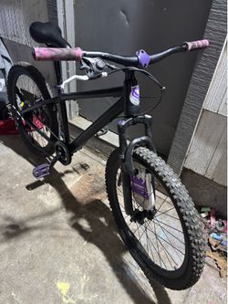 Custom kings mountain bike