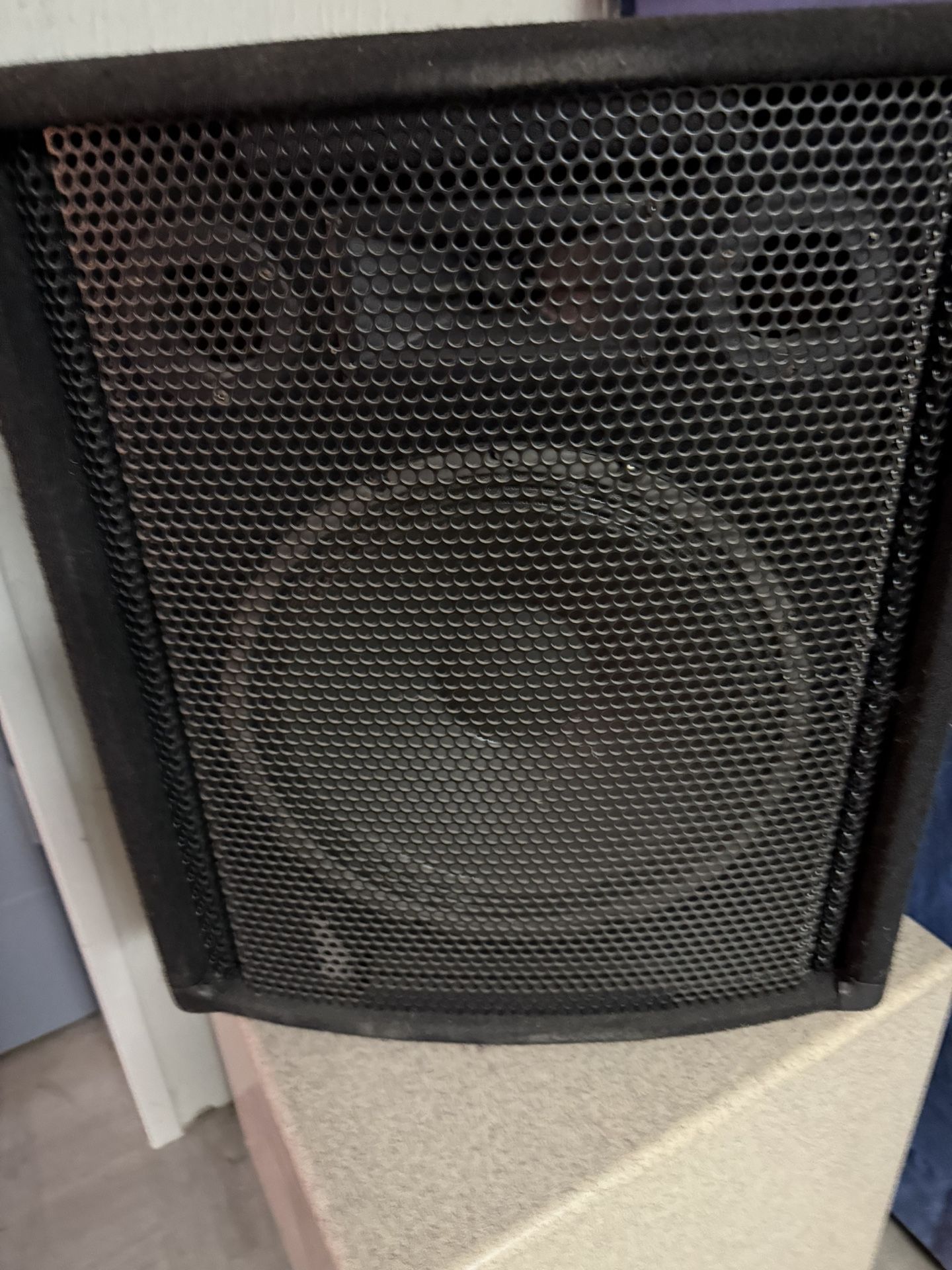 Audio Centron CE-12H Speaker