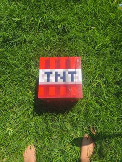 Tnt mini fridge