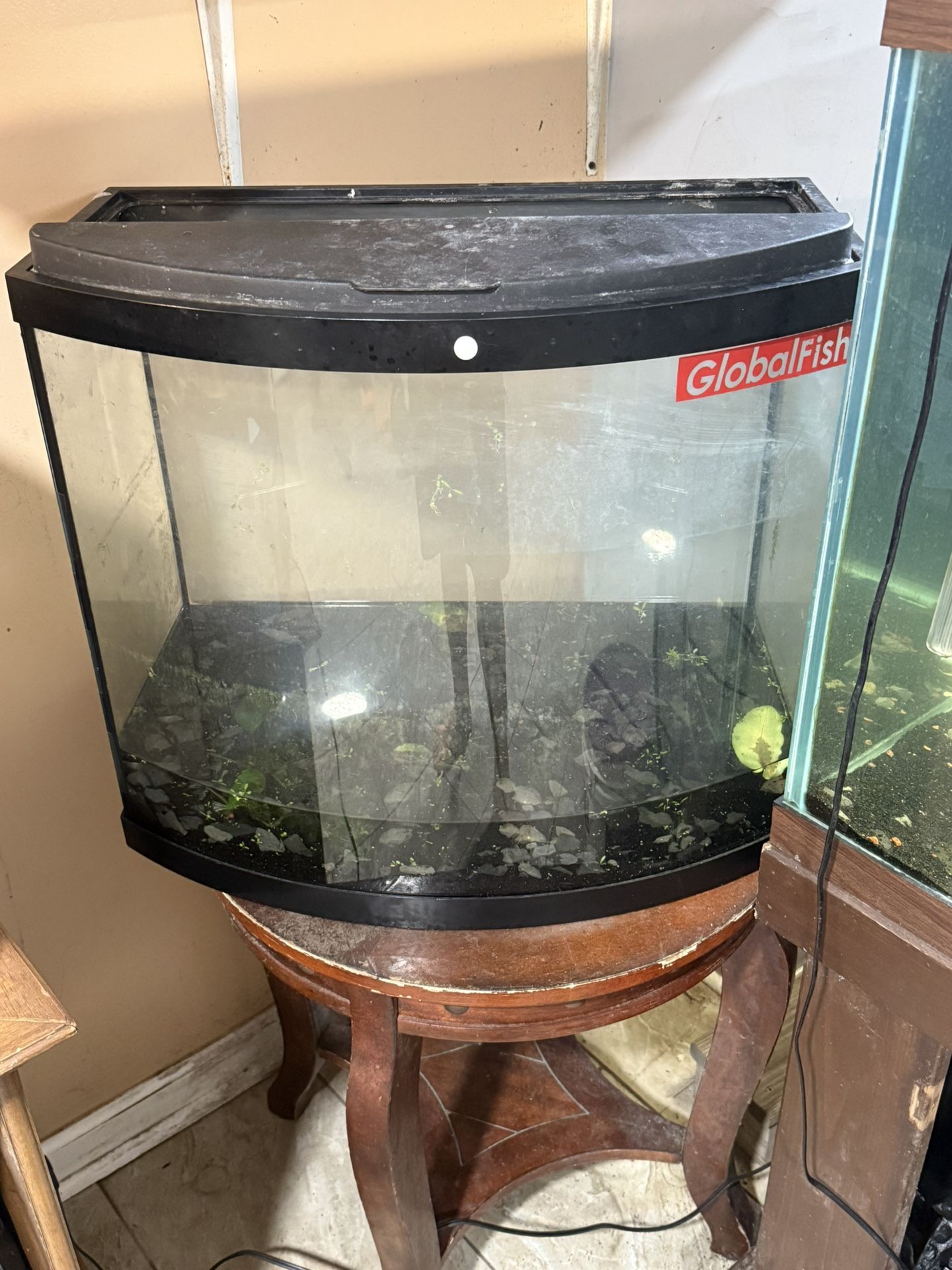 40 Gallons Tank With Light And Lid