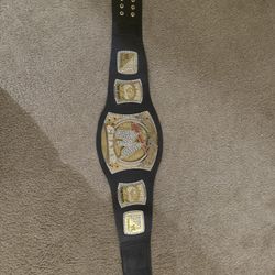 Wwe Spinner Belt 2005-2012