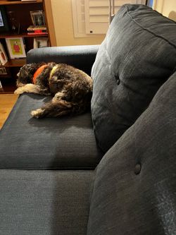 LAZBOY couch needs a new home