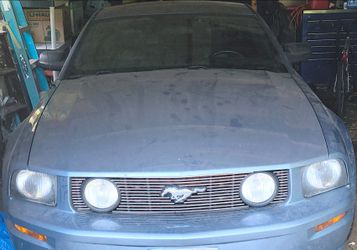For Mustang GT 2005 (Premium trim, windvale blue)