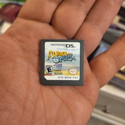 Nintendo DS 