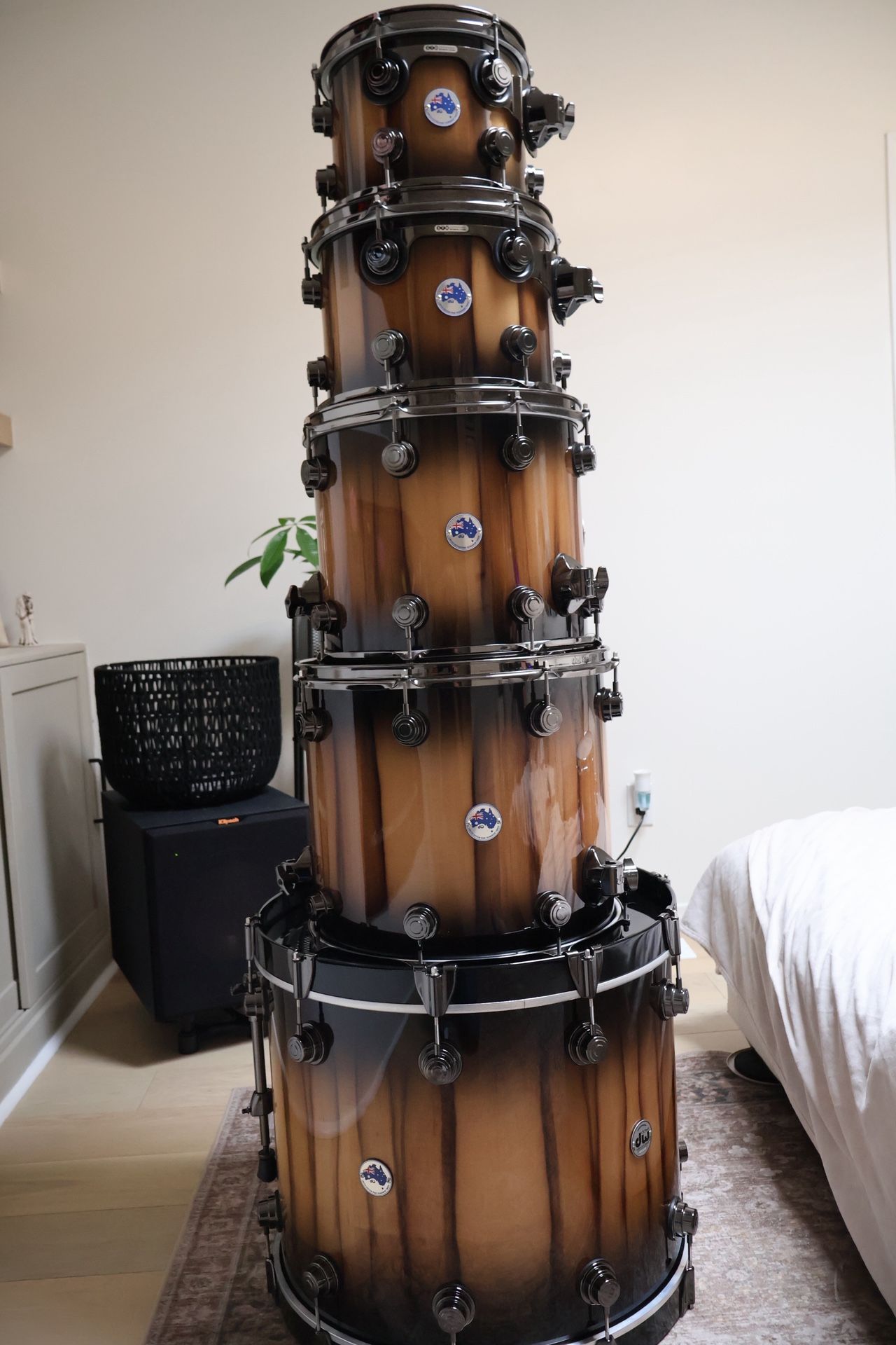 DW LIMITED PURE TASMANIA