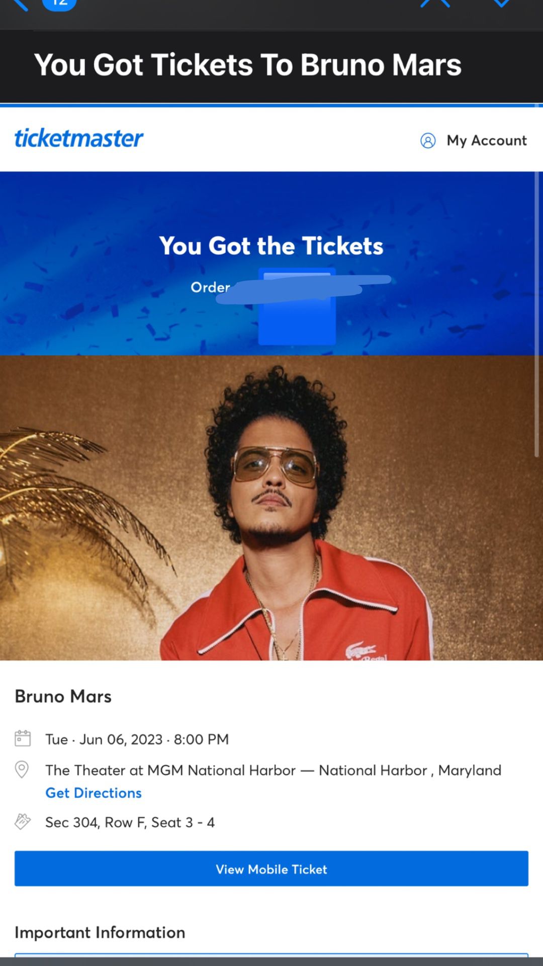 Bruno Mars Concert at MGM 
