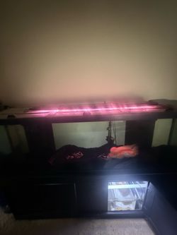 150 gal fish tank