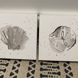 Two Seashell Pictures 