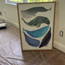 Whale Picture