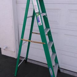 Werner 6ft Ladder 