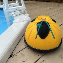 Above Ground Pool Vacuum Bug 