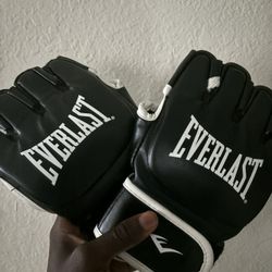 EVERLAST Fighting Gloves